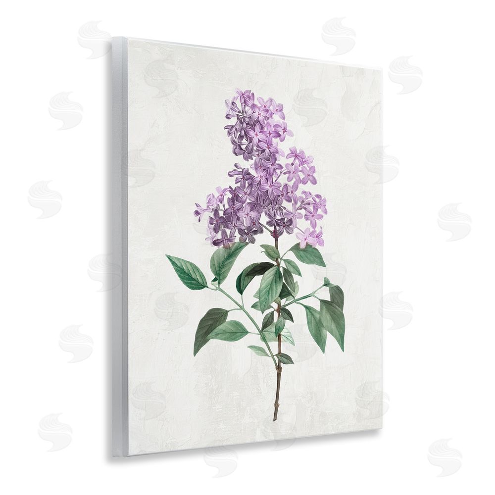 Kim Allen Lilac Herb Blossoms Wooden Wall Plaque Art Print