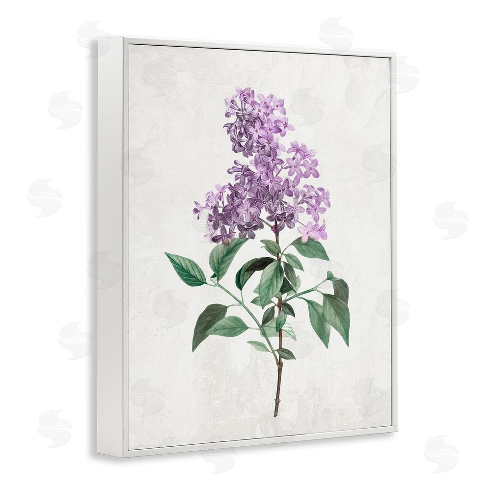 Kim Allen Lilac Herb Blossoms White Framed Giclee Wall Art Print