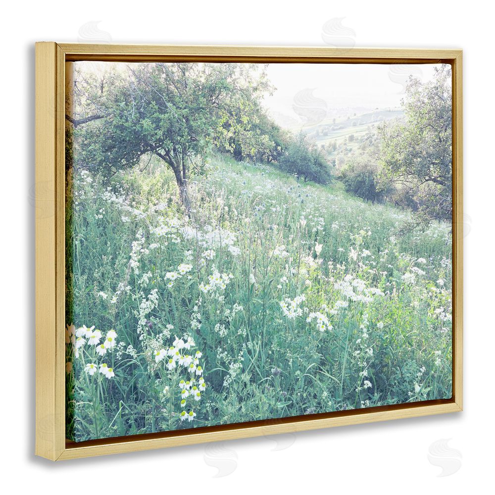 Leah Straatsma Sunny Daisies in Meadow Gold Floating Frame Canvas Wall Art Print