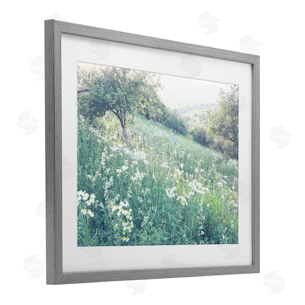 Leah Straatsma Sunny Daisies in Meadow Gray Framed Print Under Glass Wall Art