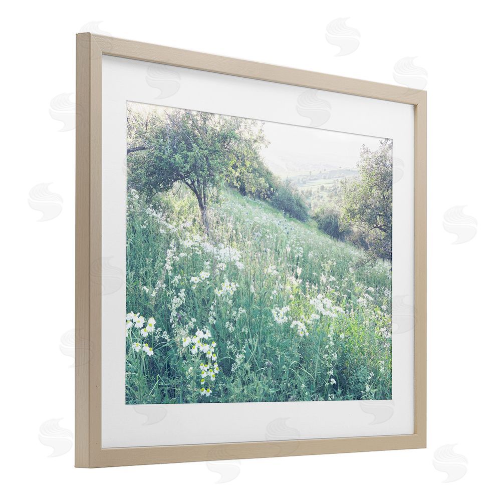Leah Straatsma Sunny Daisies in Meadow Brown Framed Print Under Glass Wall Art