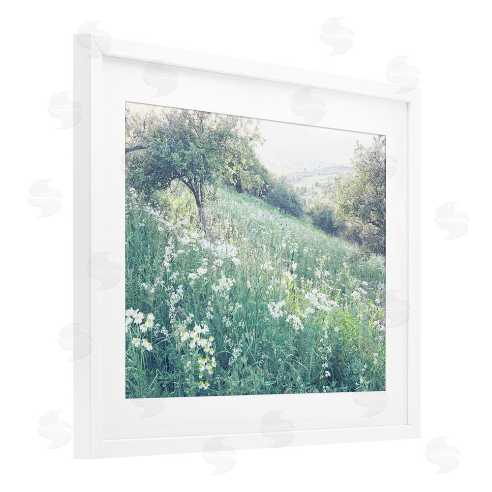 Leah Straatsma Sunny Daisies in Meadow White Framed Print Under Glass Wall Art