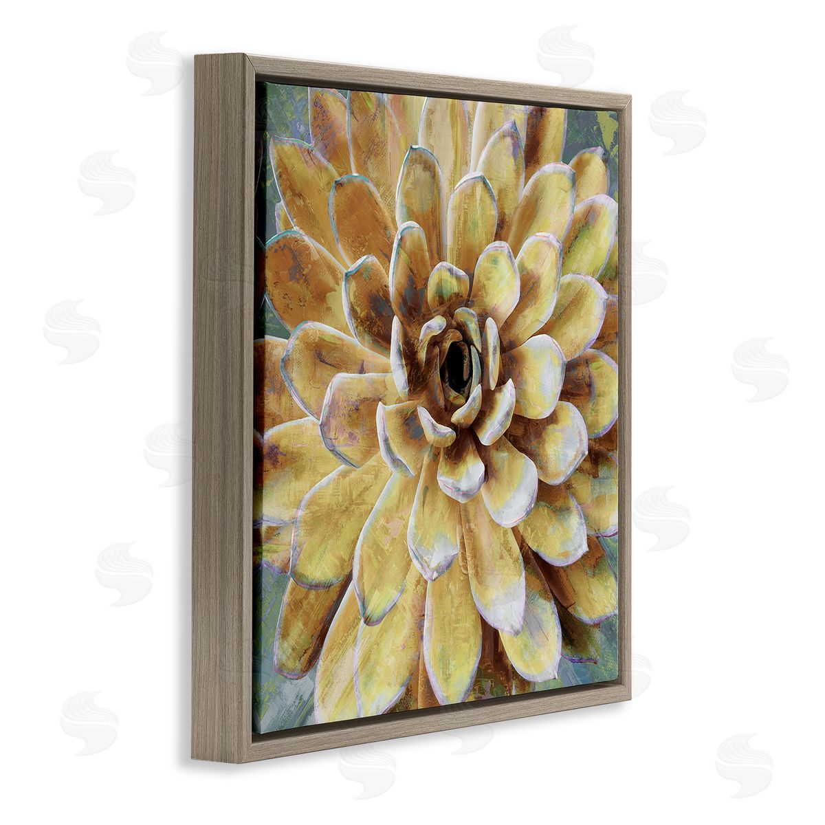 Yellow Botanical Succulent Bloom Painting Brown Floating Frame Canvas Wall Art, Home Decor by Lindsay Benson