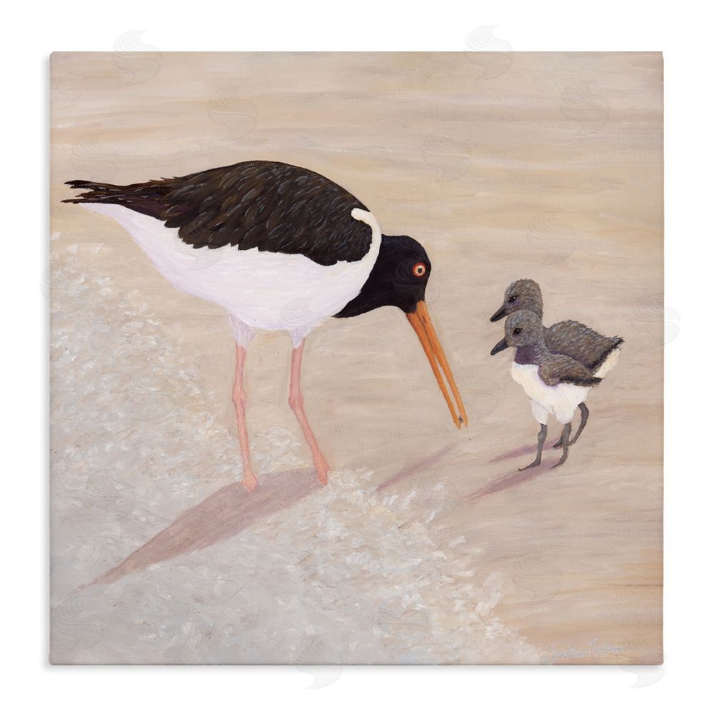 Barbara Fallenbaum American Oyster Catcher & Chicks Stretched Canvas Wall Art Print