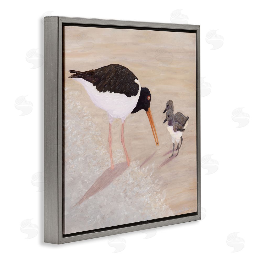 Barbara Fallenbaum American Oyster Catcher & Chicks Gray Floating Frame Canvas Wall Art Print