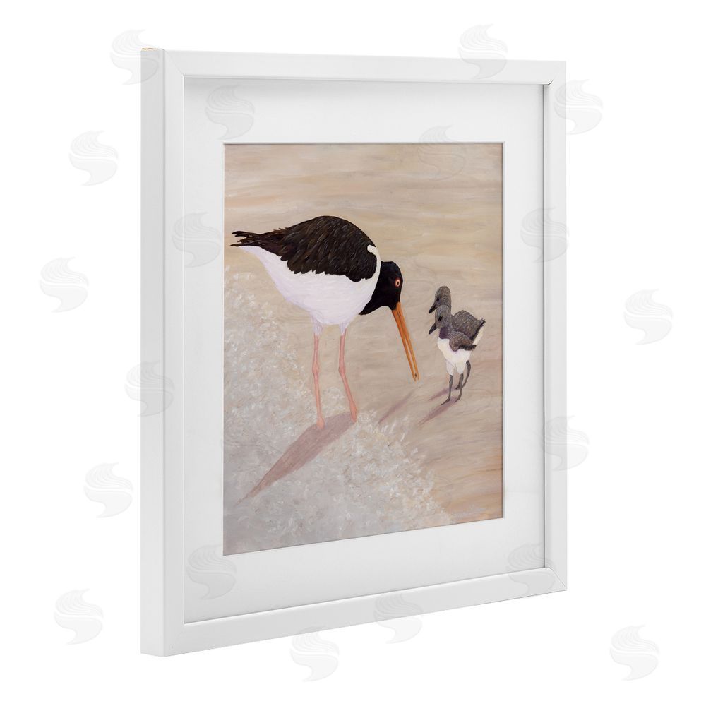 Barbara Fallenbaum American Oyster Catcher & Chicks White Framed Print Under Glass Wall Art