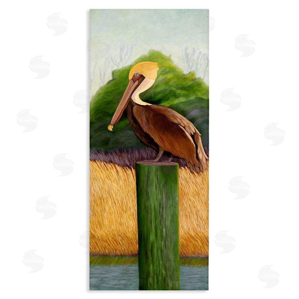 Barbara Fallenbaum Perched Blue Eyed Pelican Stretched Canvas Wall Art Print
