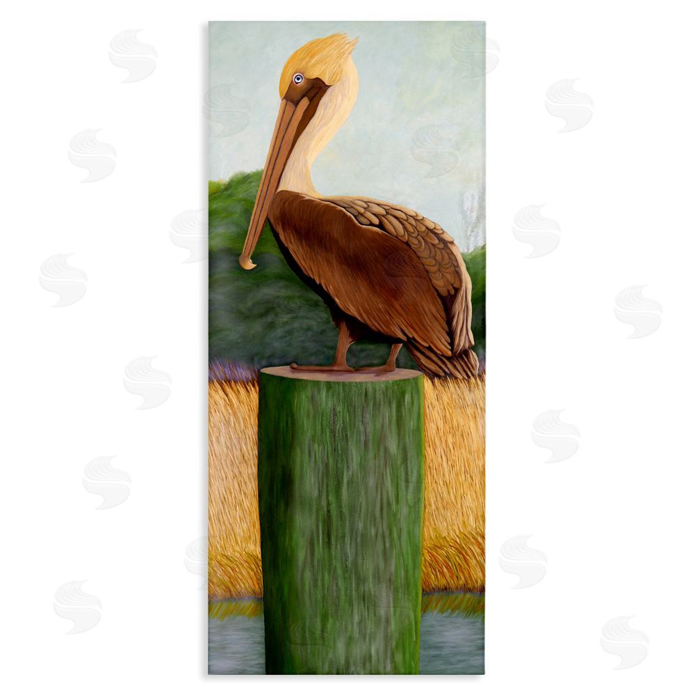 Barbara Fallenbaum Blue Eyed Pelican Stretched Canvas Wall Art Print