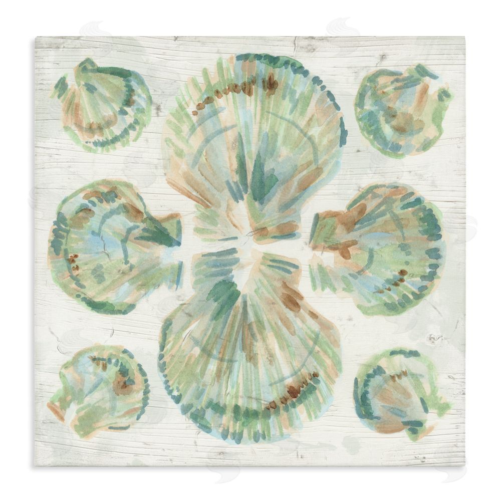 June Erica Vess Saltwashed Shells Symmetry Stretched Canvas Wall Art Print