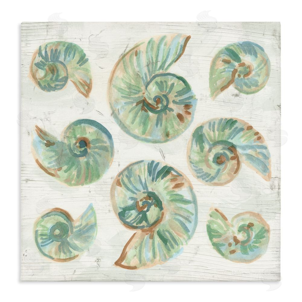 June Erica Vess Organic Saltwashed Shells Stretched Canvas Wall Art Print