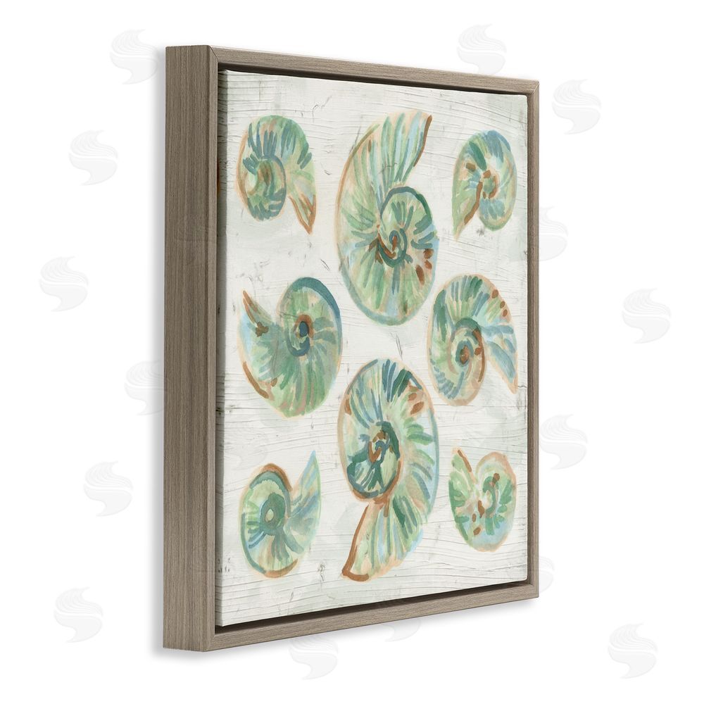 June Erica Vess Organic Saltwashed Shells Brown Floating Frame Canvas Wall Art Print
