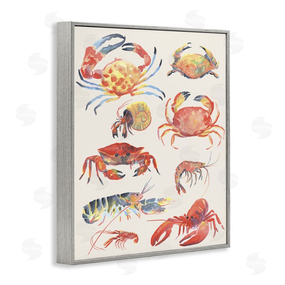 June Erica Vess Nautical Crustacean Collection Gray Framed Giclee Wall Art Print