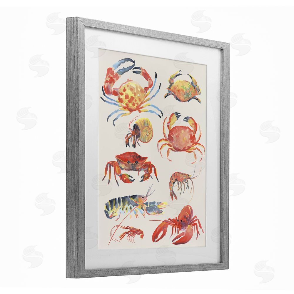 June Erica Vess Nautical Crustacean Collection Gray Framed Print Under Glass Wall Art