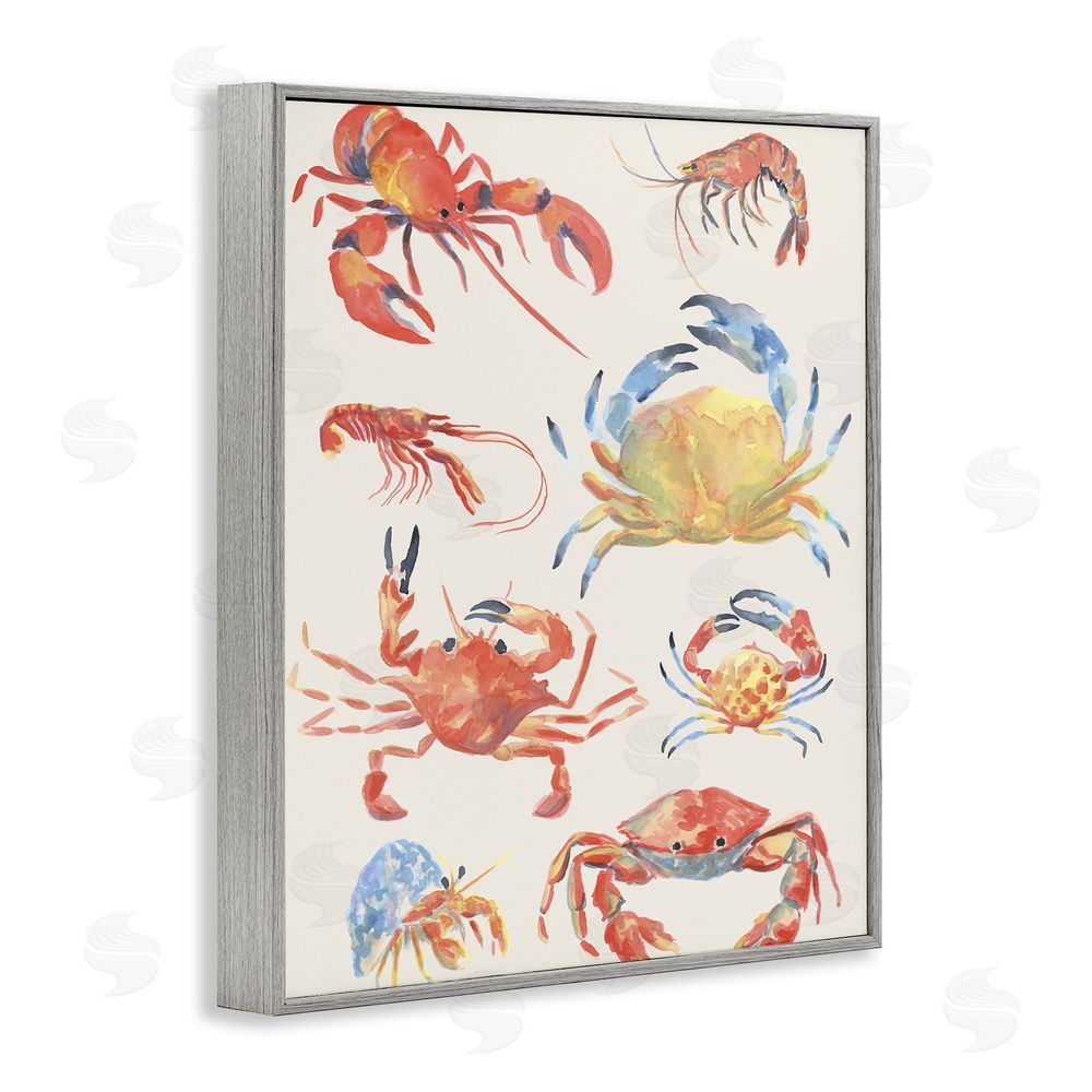 June Erica Vess Crab & Crustacean Collection Gray Framed Giclee Wall Art Print
