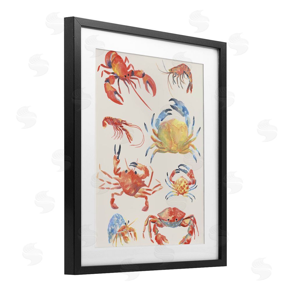 June Erica Vess Crab & Crustacean Collection Black Framed Print Under Glass Wall Art
