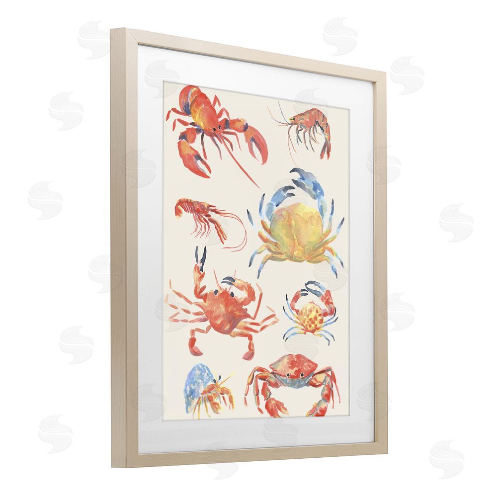 June Erica Vess Crab & Crustacean Collection Birch Framed Print Under Glass Wall Art