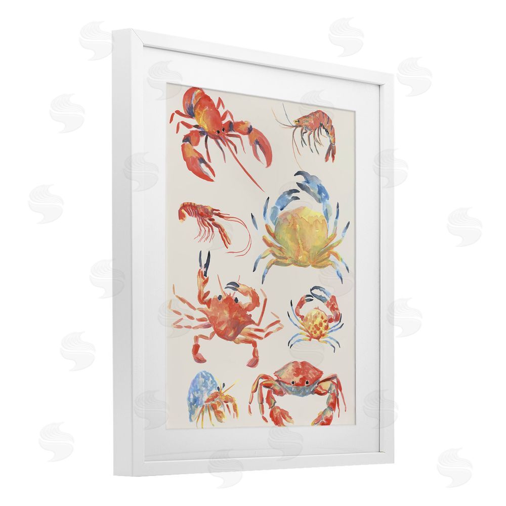 June Erica Vess Crab & Crustacean Collection White Framed Print Under Glass Wall Art