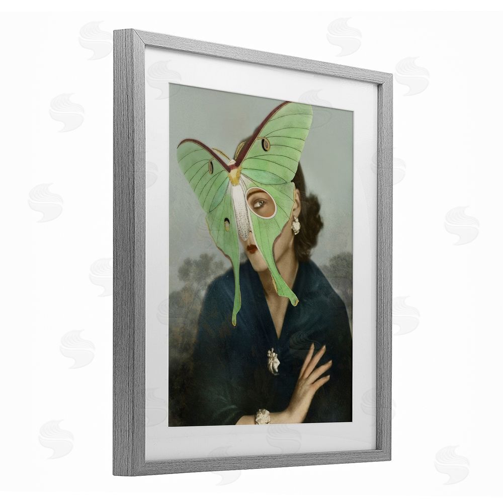 Victoria Barnes Naturalist Portrait with Moth Gray Framed Print Under Glass Wall Art