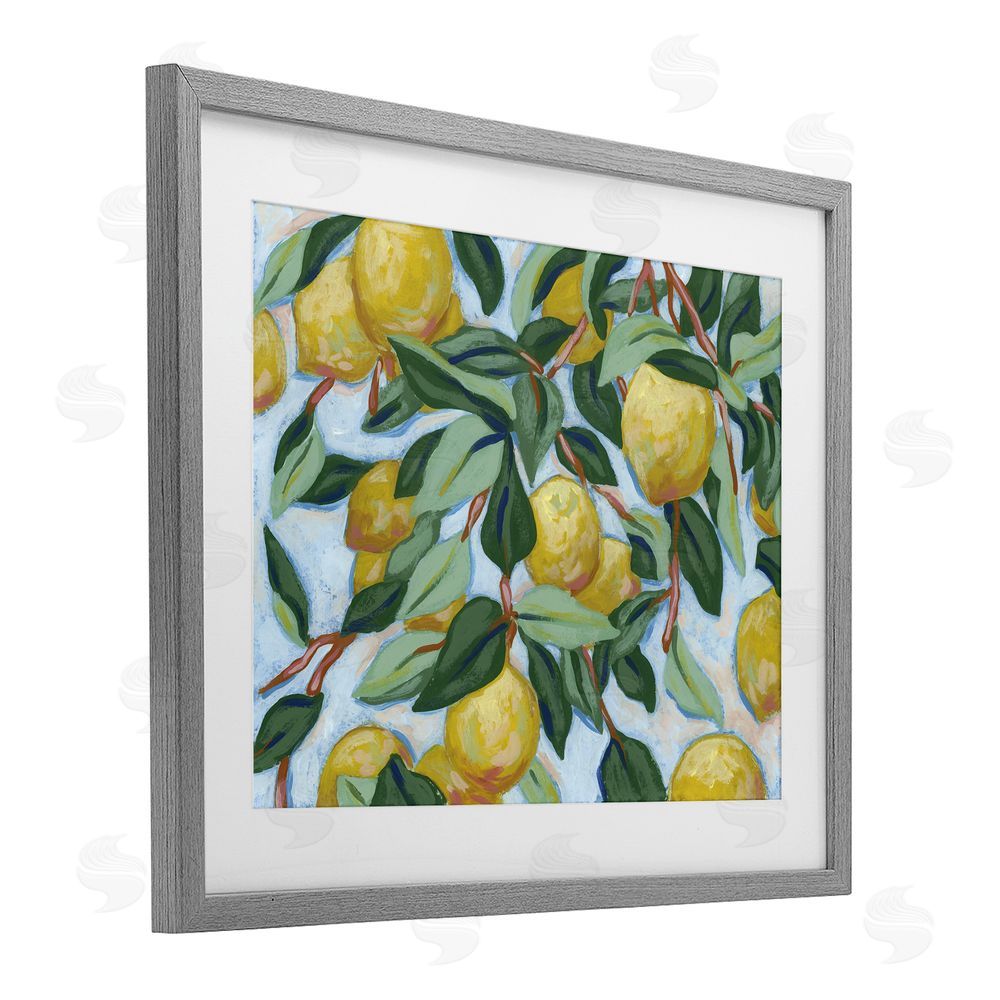 June Erica Vess Summer Citrus Tree Gray Framed Print Under Glass Wall Art