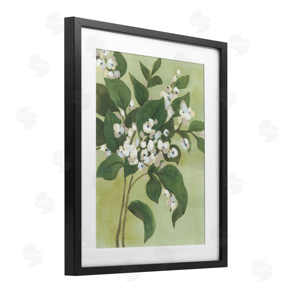 June Erica Vess Verdant Branch Blossoms Black Framed Print Under Glass Wall Art