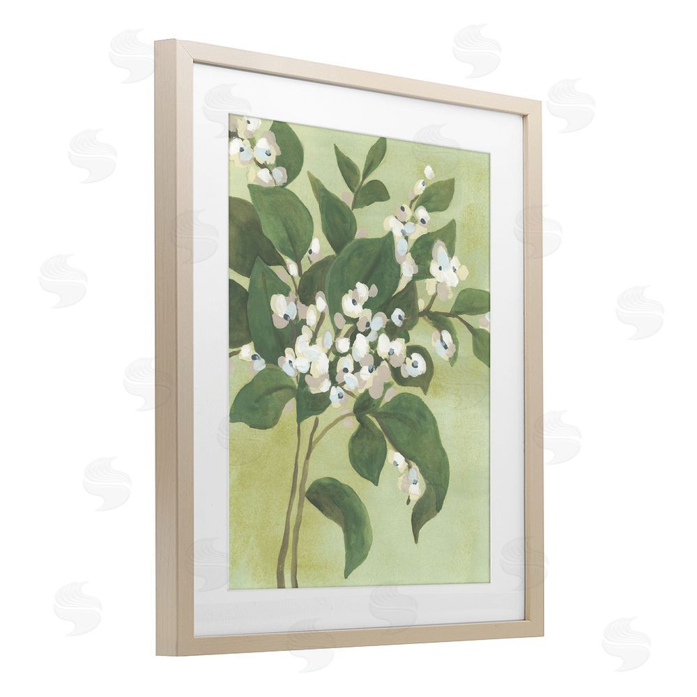 June Erica Vess Verdant Branch Blossoms Brown Framed Print Under Glass Wall Art