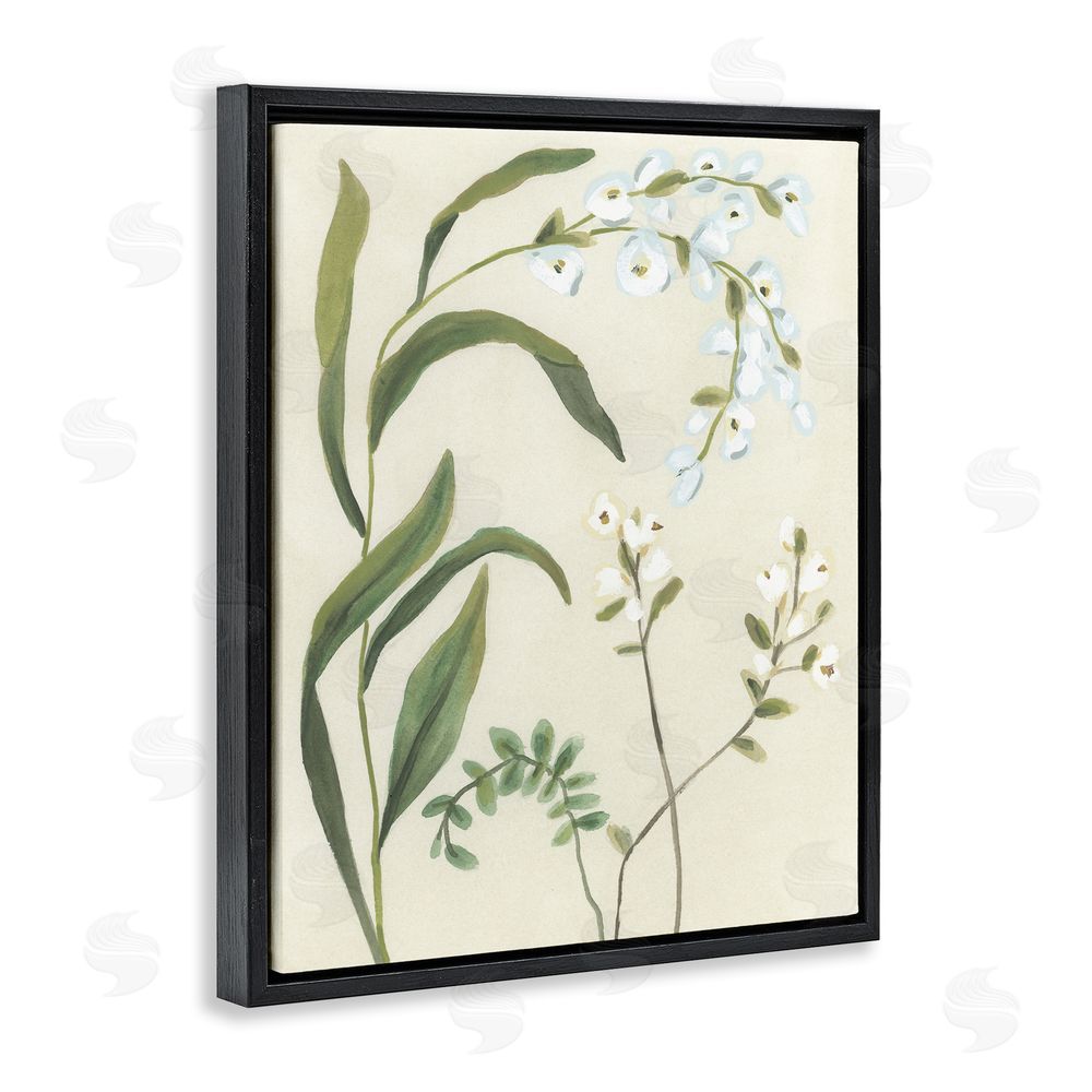 June Erica Vess Soft Snowdrop Stems Black Floating Frame Canvas Wall Art Print