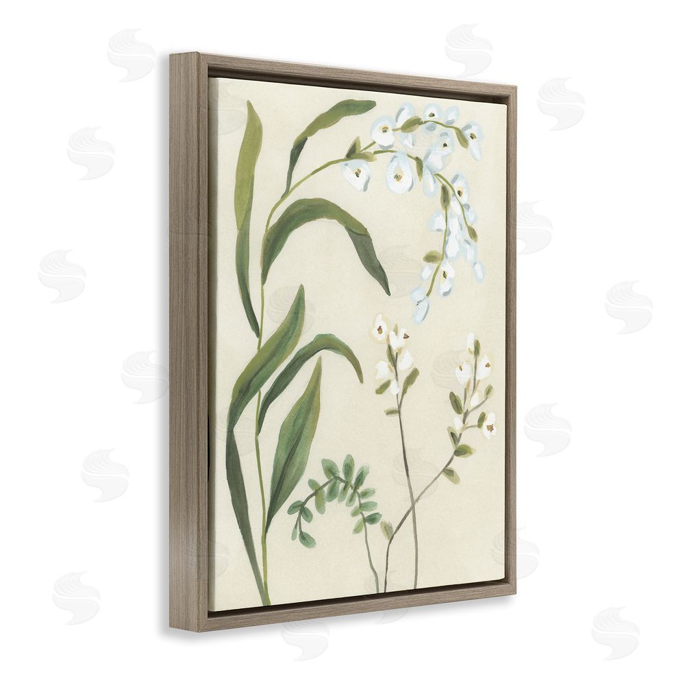 June Erica Vess Soft Snowdrop Stems Brown Floating Frame Canvas Wall Art Print
