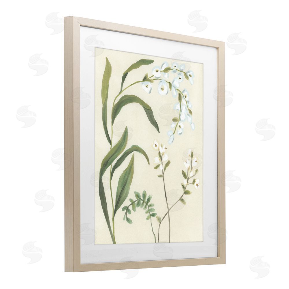 June Erica Vess Soft Snowdrop Stems Brown Framed Print Under Glass Wall Art