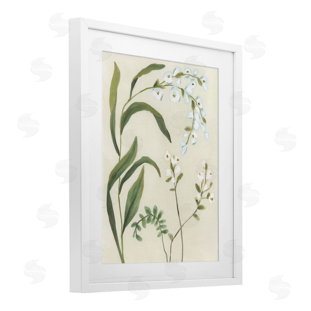 June Erica Vess Soft Snowdrop Stems White Framed Print Under Glass Wall Art