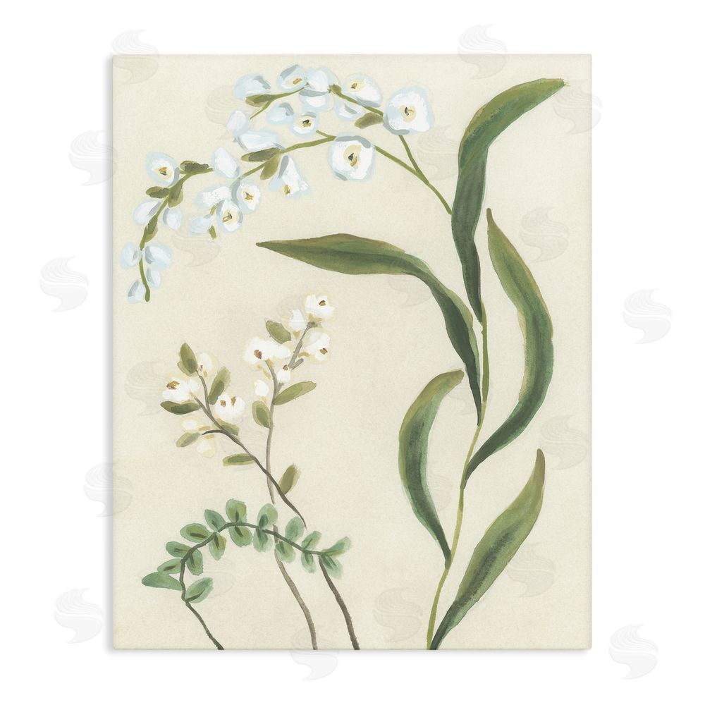 June Erica Vess Neutral Snowdrop Stems Stretched Canvas Wall Art Print