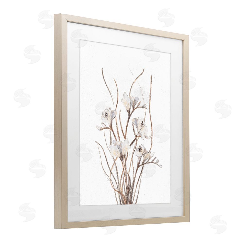 Sundance Graphics Curly Branches on White Birch Framed Print Under Glass Wall Art