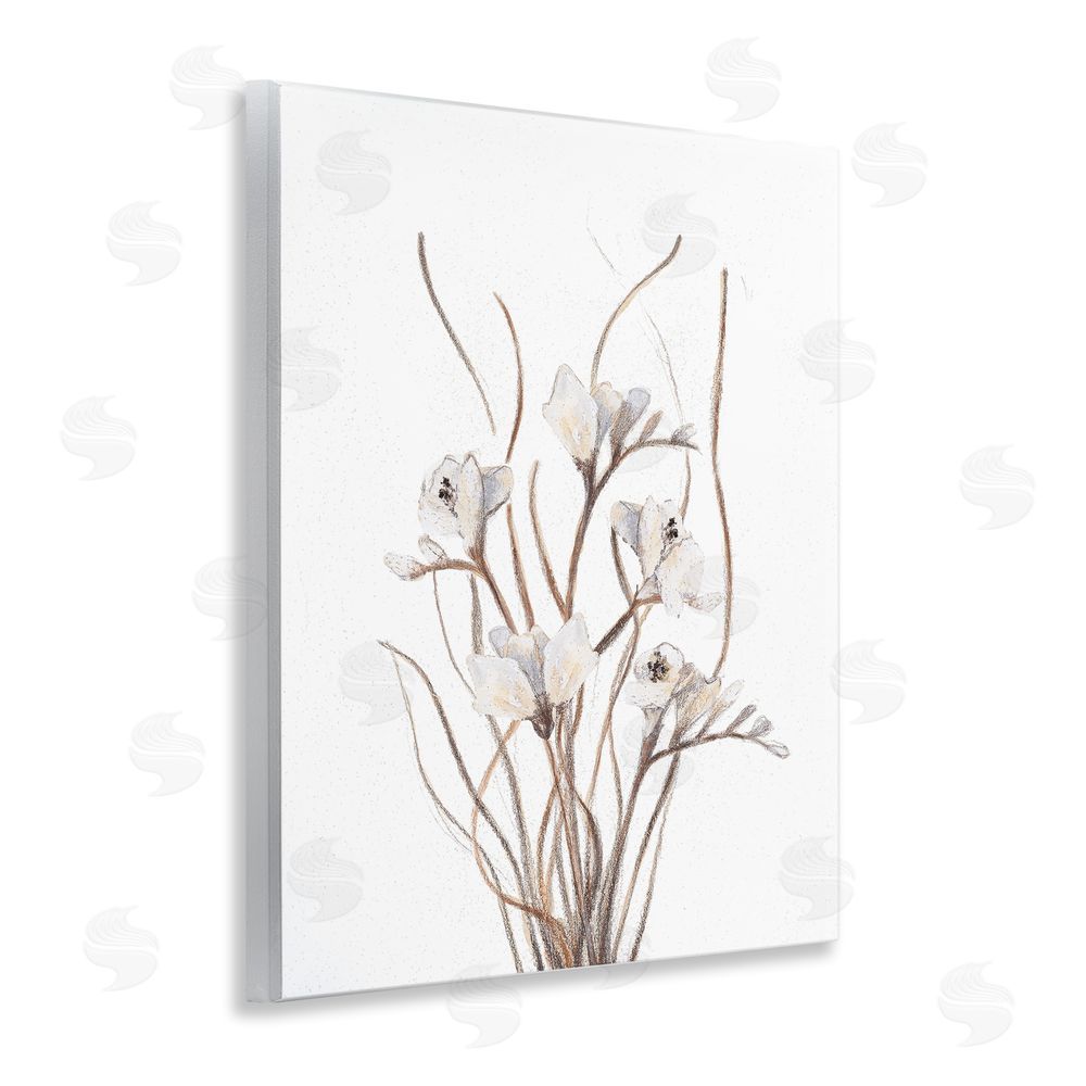 Sundance Graphics Curly Branches on White Wall Plaque Printed Art
