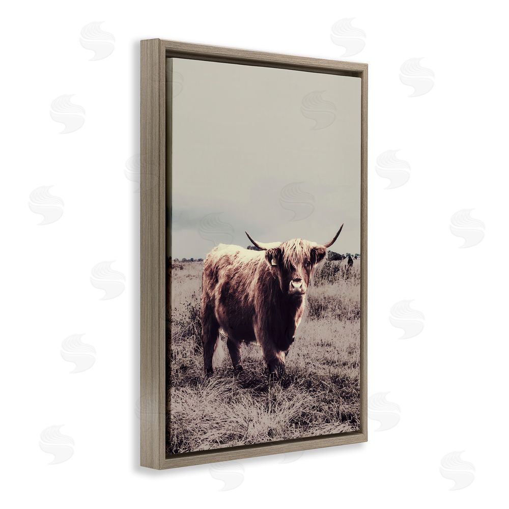 Sundance Graphics Horned Cattle in Pasture Brown Floating Frame Canvas Wall Art Print