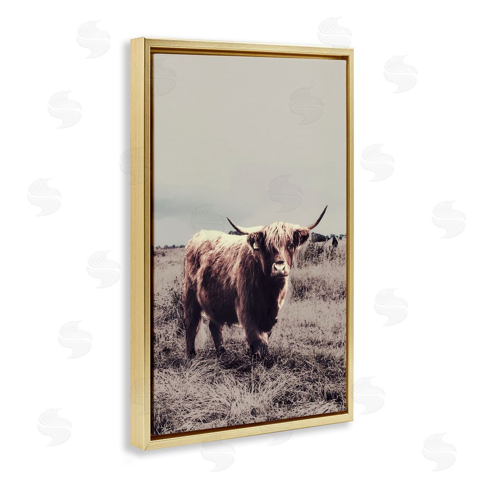 Sundance Graphics Horned Cattle in Pasture Gold Floating Frame Canvas Wall Art Print