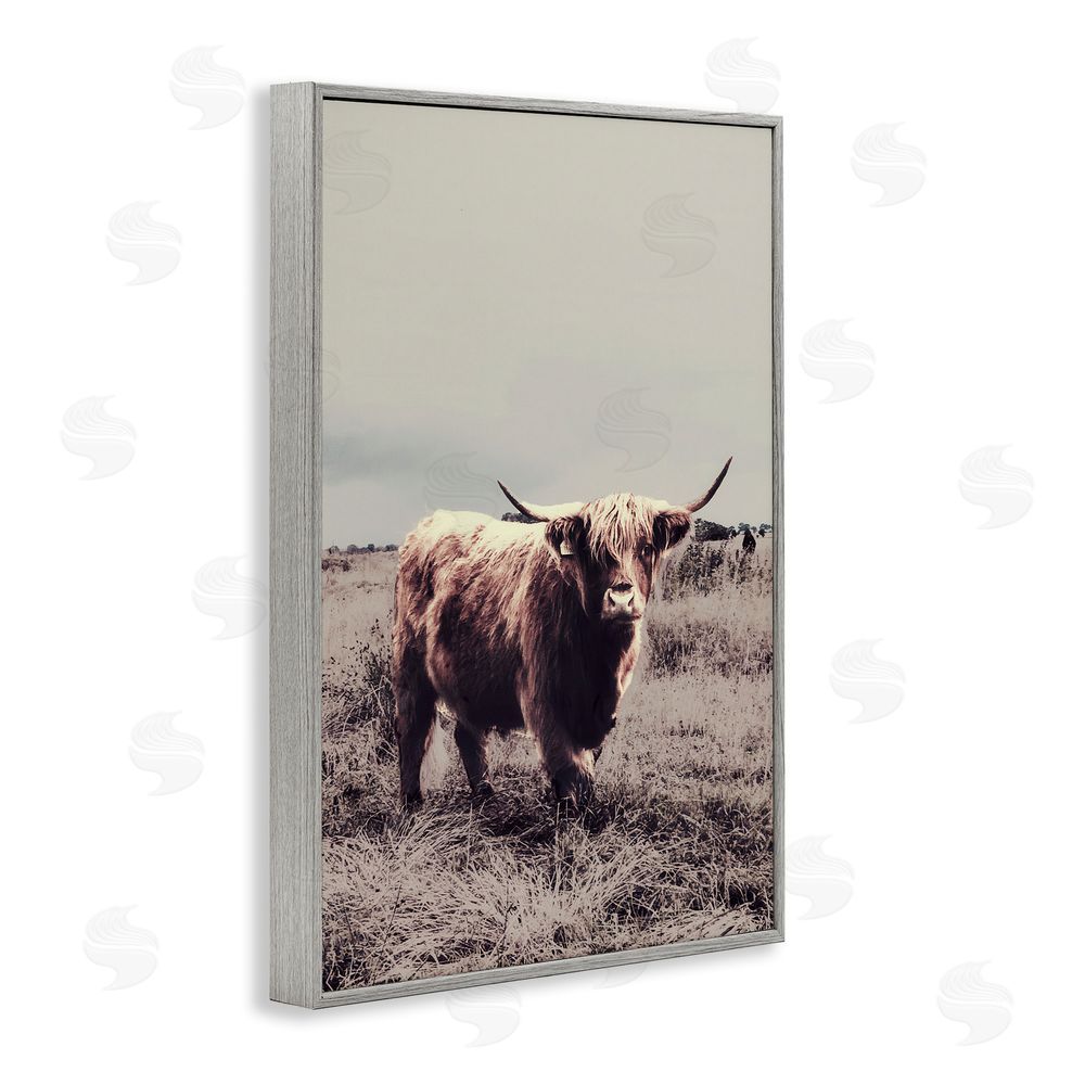 Sundance Graphics Horned Cattle in Pasture Gray Framed Giclee Wall Art Print