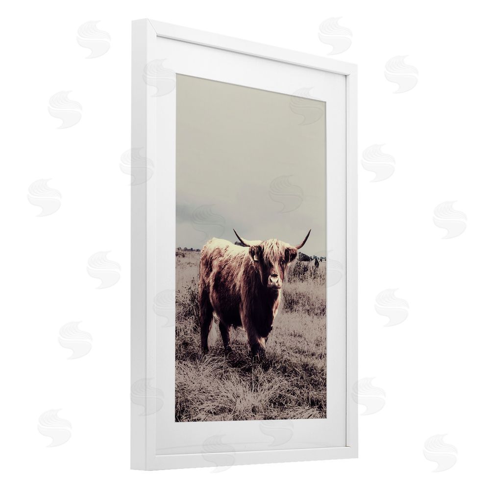 Sundance Graphics Horned Cattle in Pasture White Framed Print Under Glass Wall Art