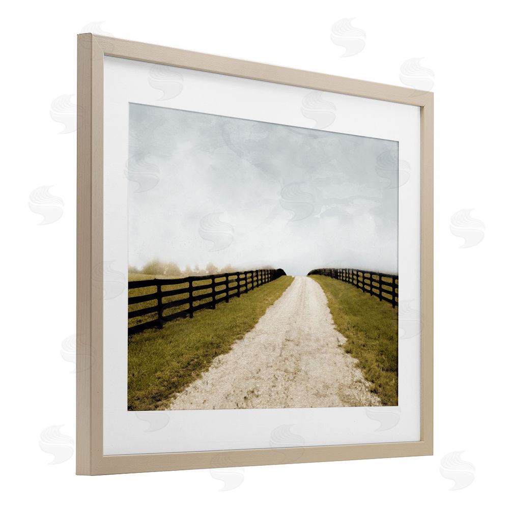 Sundance Graphics Fenced Countryside Lane Birch Framed Print Under Glass Wall Art
