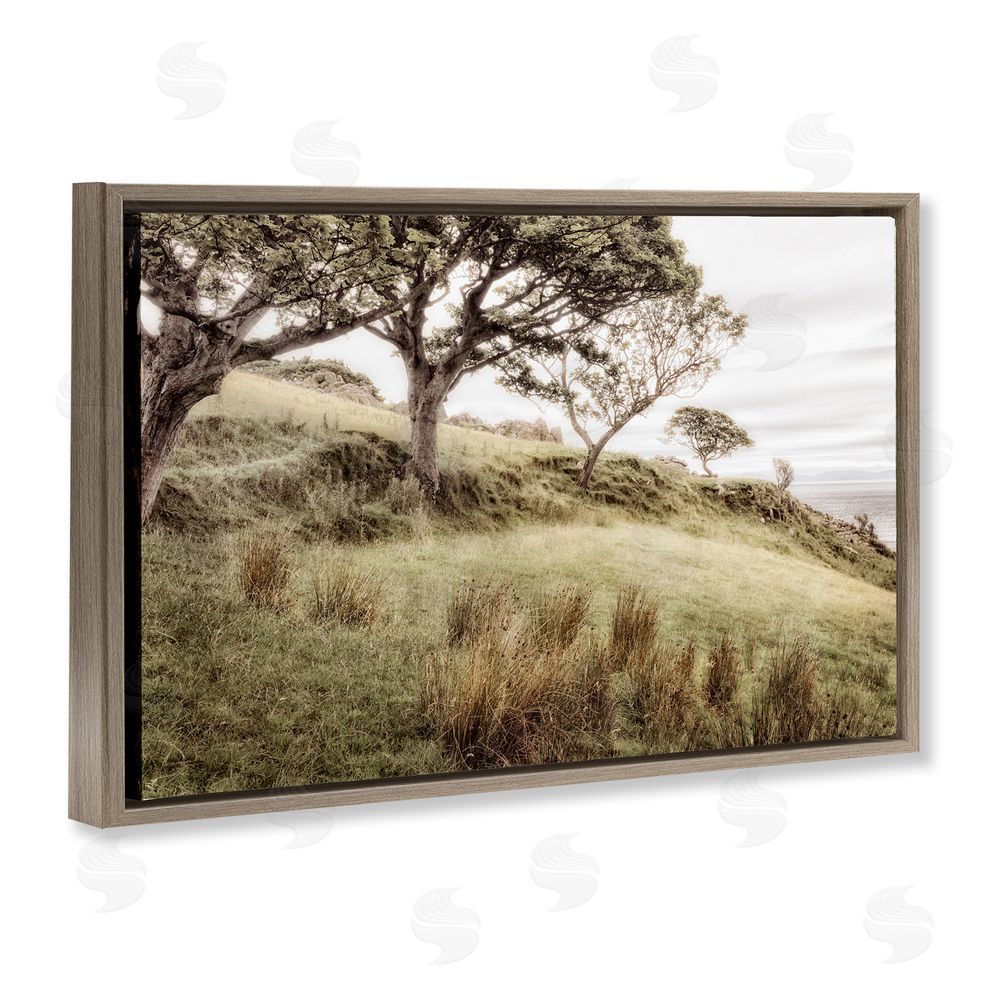 Sundance Graphics Irish Hillside Landscape Brown Floating Frame Canvas Wall Art Print