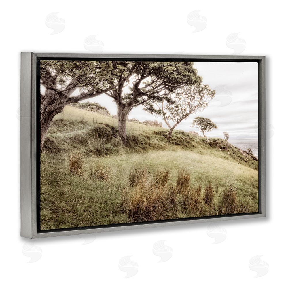 Sundance Graphics Irish Hillside Landscape Gray Floating Frame Canvas Wall Art Print