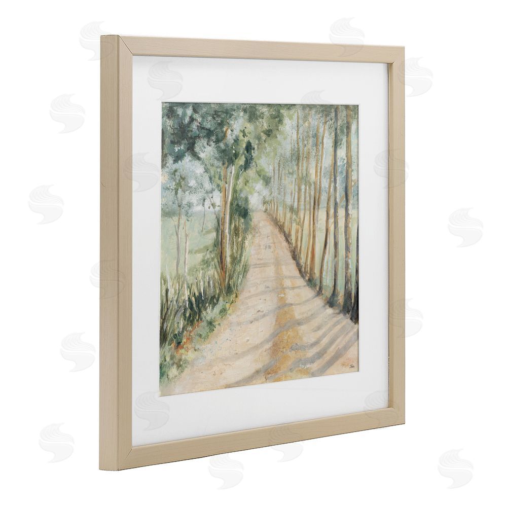 Sundance Graphics Camino A Casa Pathway Birch Framed Print Under Glass Wall Art