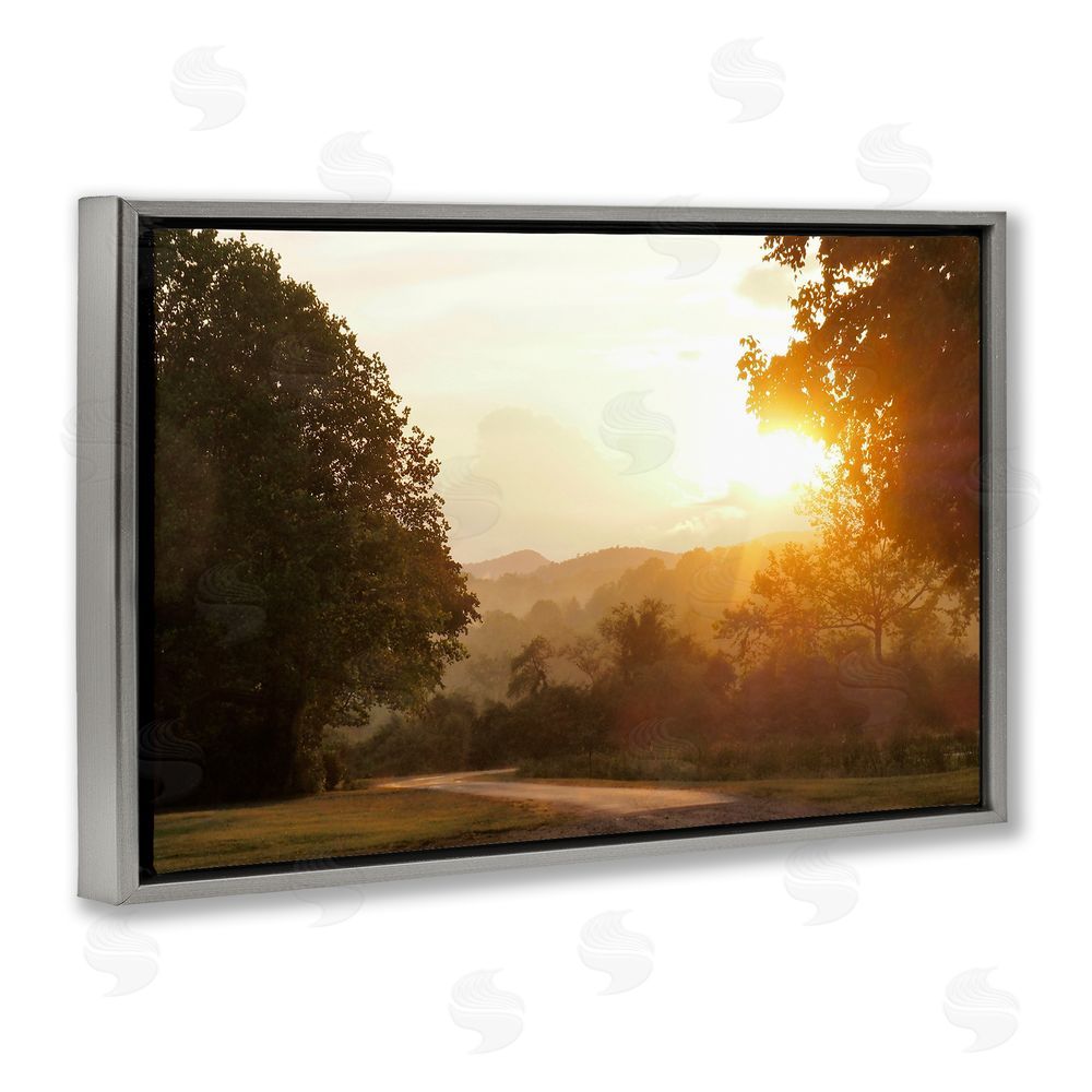 Sundance Graphics Golden Morning Between Trees Gray Floating Frame Canvas Wall Art Print