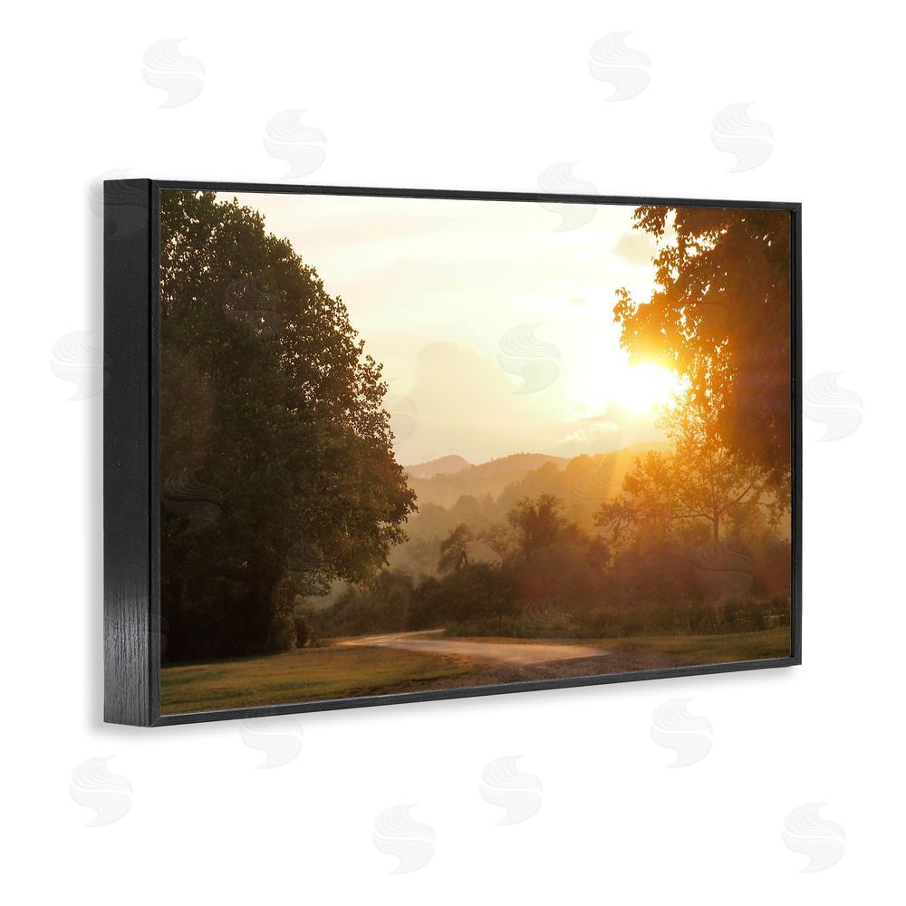 Sundance Graphics Golden Morning Between Trees Black Framed Giclee Wall Art Print