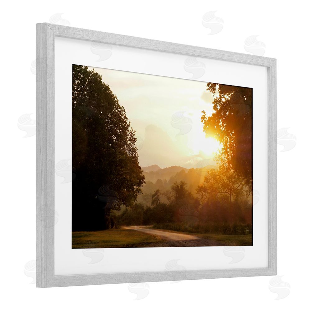 Sundance Graphics Golden Morning Between Trees Gray Framed Print Under Glass Wall Art