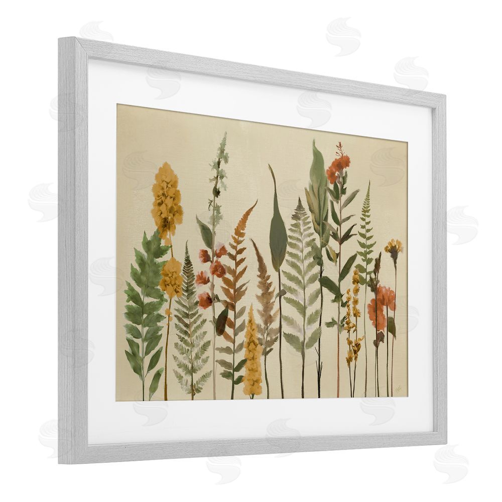 Sundance Graphics Fall Toned Botanics Gray Framed Print Under Glass Wall Art