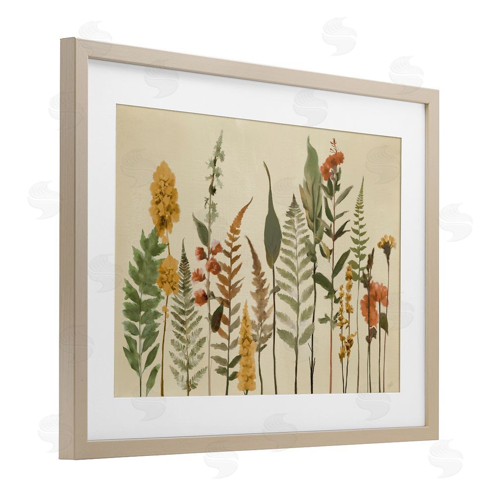 Sundance Graphics Fall Toned Botanics Birch Framed Print Under Glass Wall Art