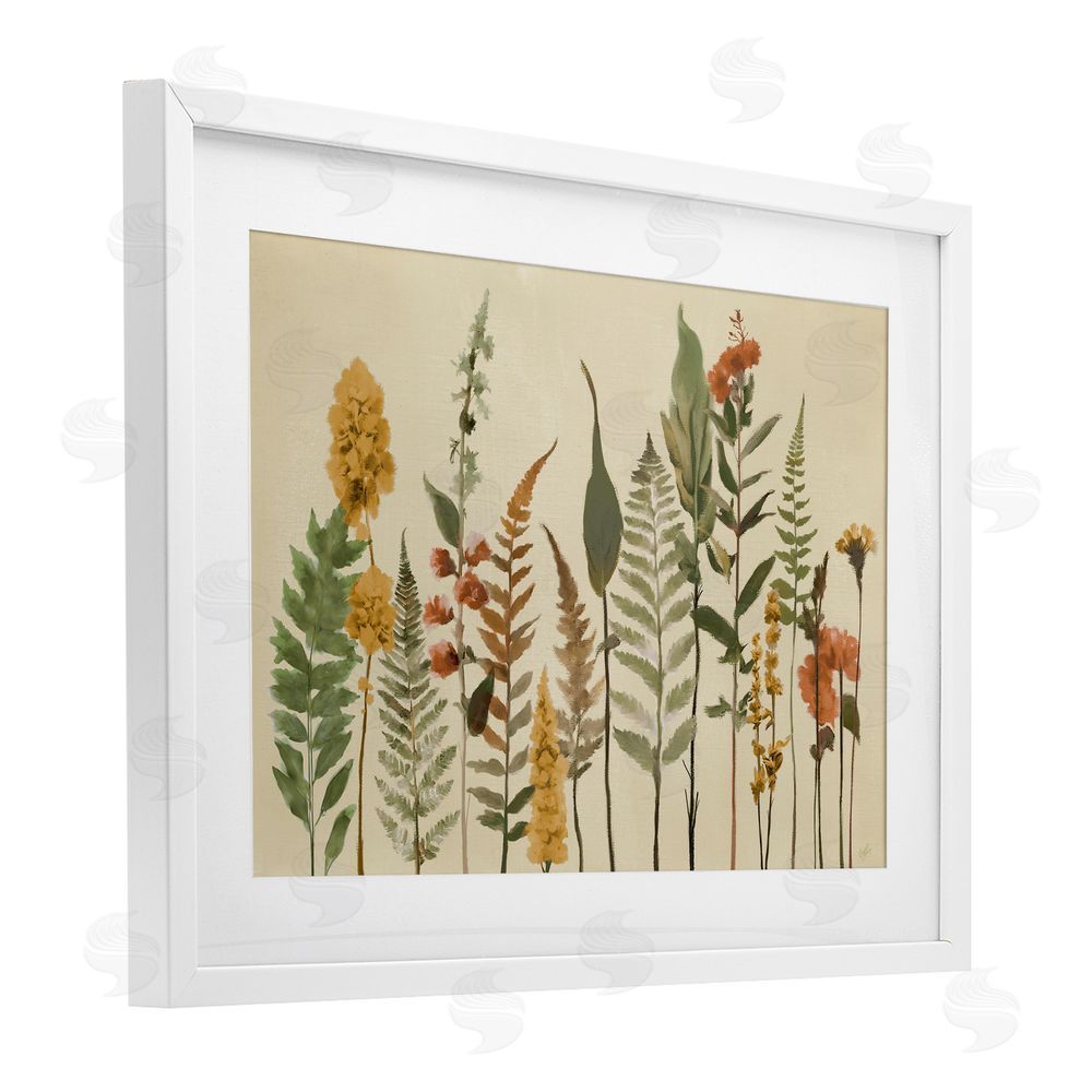 Sundance Graphics Fall Toned Botanics White Framed Print Under Glass Wall Art