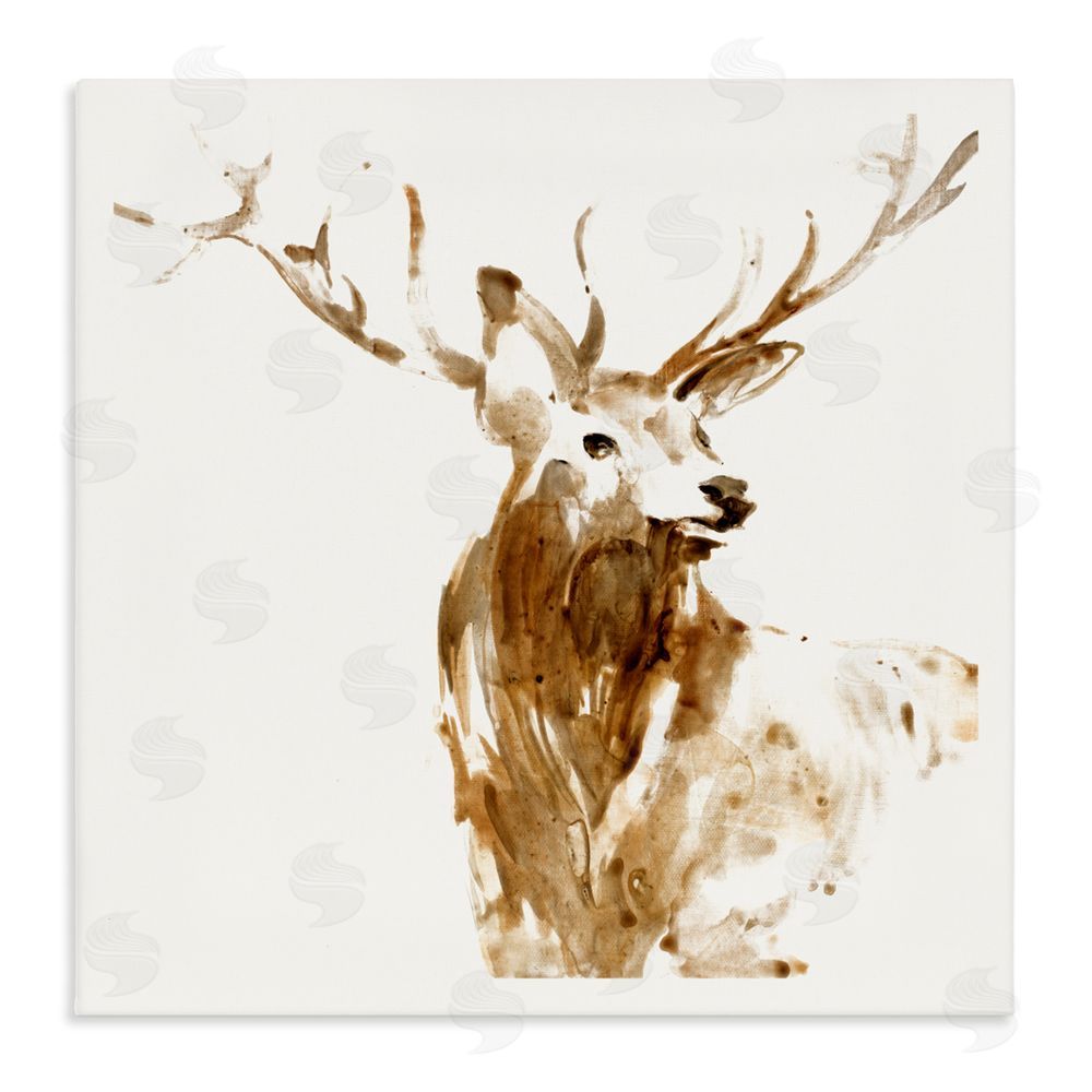 Sundance Graphics Deer Portrait Head Shot Canvas Wall Art Print