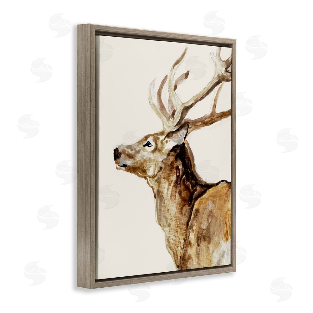 Sundance Graphics Deer Portrait Profile View Brown Floating Frame Canvas Wall Art Print
