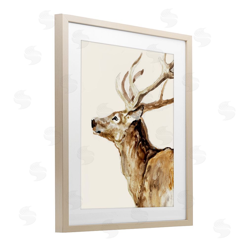 Sundance Graphics Deer Portrait Profile View Birch Framed Print Under Glass Wall Art