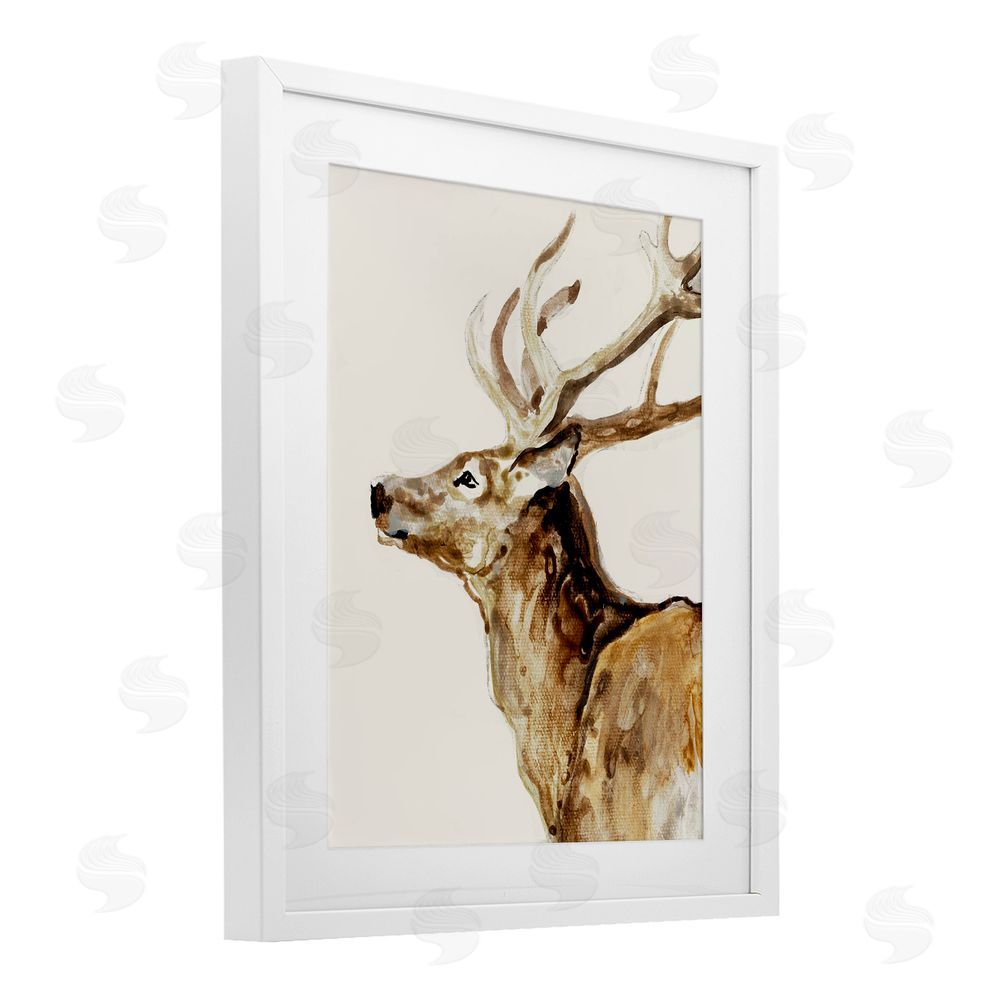 Sundance Graphics Deer Portrait Profile View White Framed Print Under Glass Wall Art